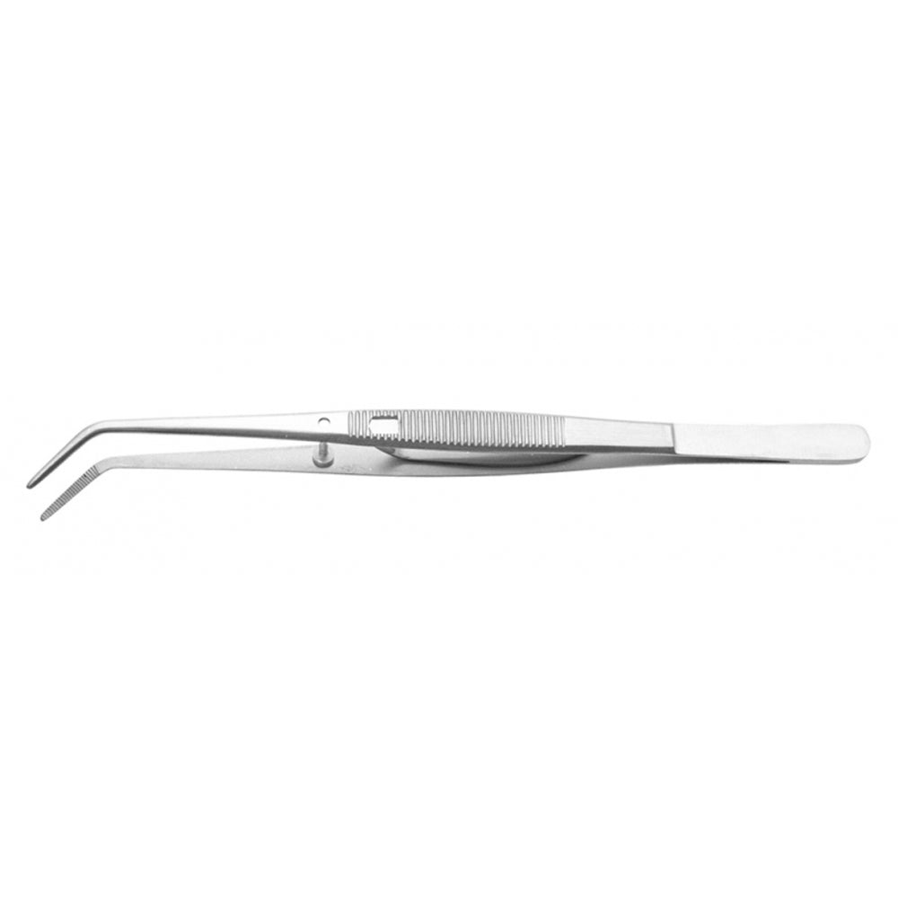 College Plier 6"