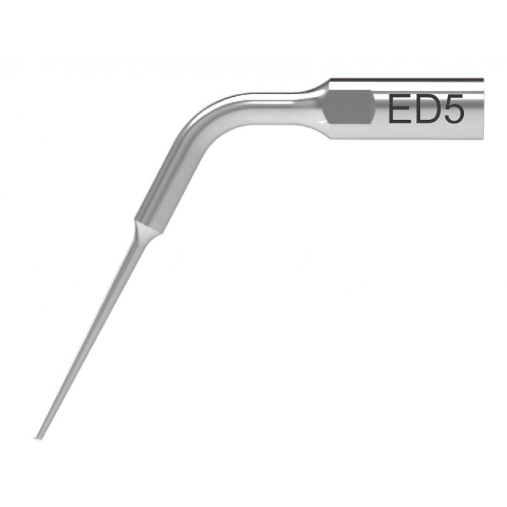 DTE - INSERT ED5 - Woodpecker - GoldenDent