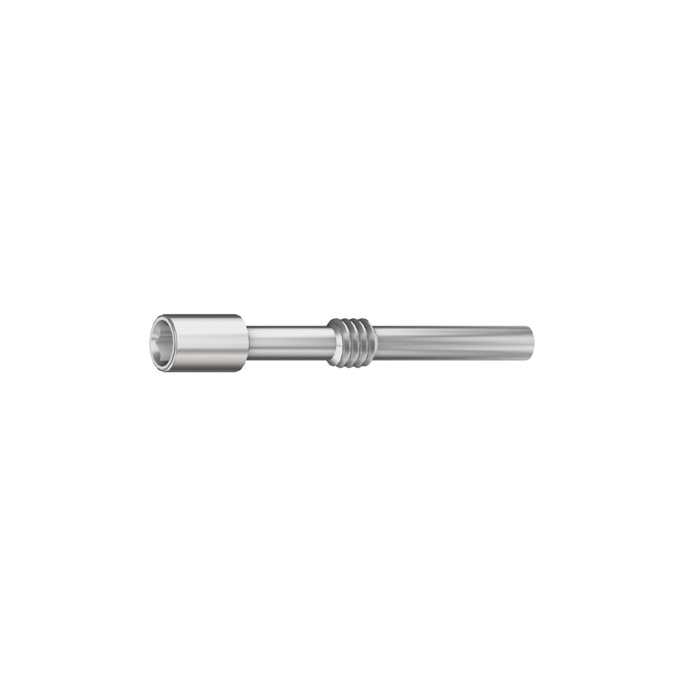 Regular System Retrieval Screw For Abutments - Adin - GoldenDent