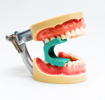 LogiBloc bite block placed between teeth on a dental model