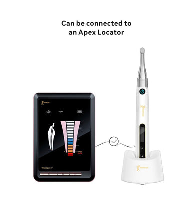 Woodpecker Endo Pace Endo Motor - Woodpecker - GoldenDent