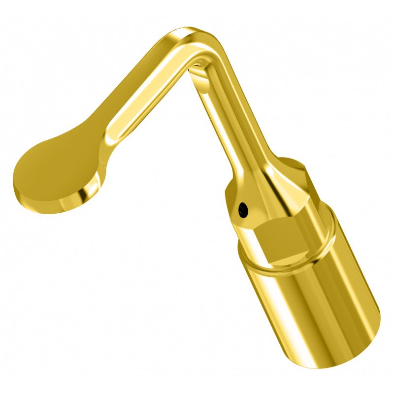 WOODPECKER - INSERT UL5 - Woodpecker - GoldenDent