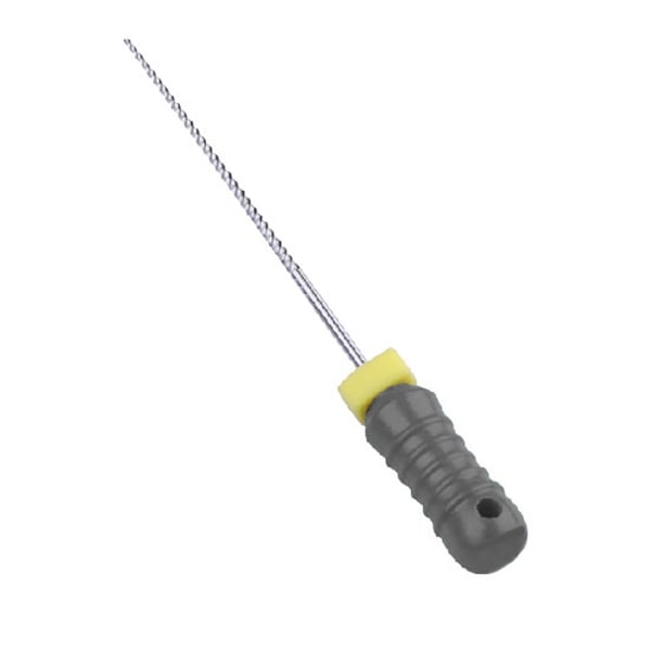 Golden K-File Stainless Steel 25mm Length Qty 6 Files