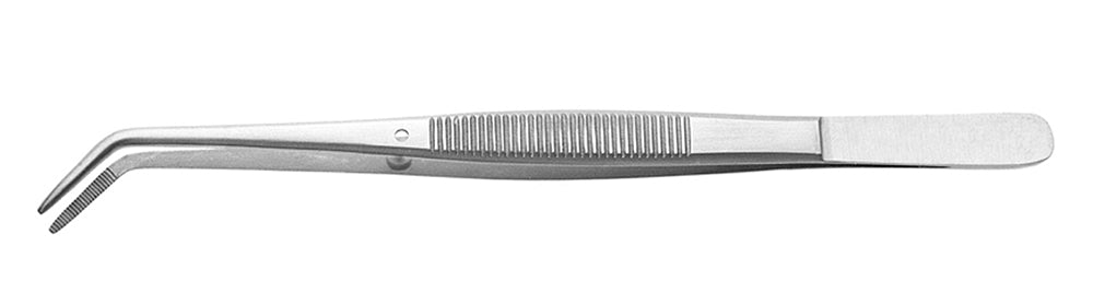 College Plier 6"