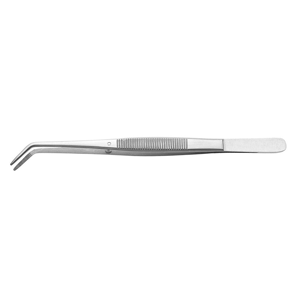 College Plier 6" - GoldenDent - GoldenDent