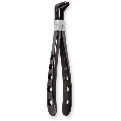 GoldenForce Dental Extraction Instruments
