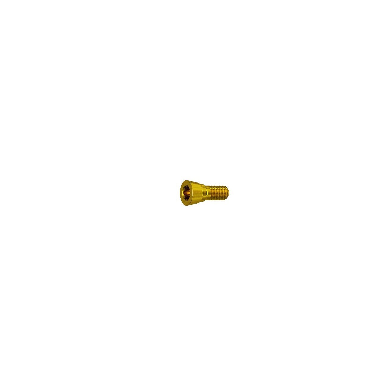 Narrow Platform Conical Implant Cover Screw - Adin - GoldenDent