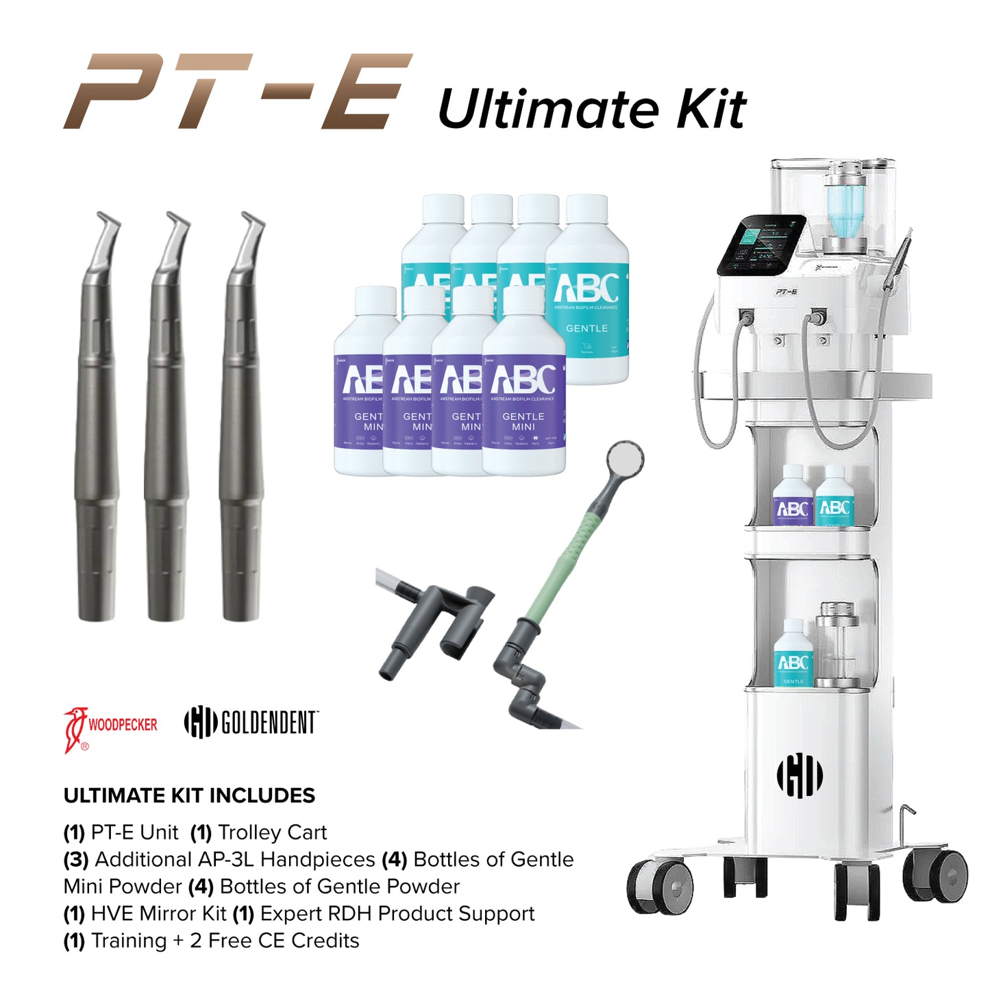 Woodpecker PT-E Air Polisher & Ultrasonic Scaling Device Dual Heating System
