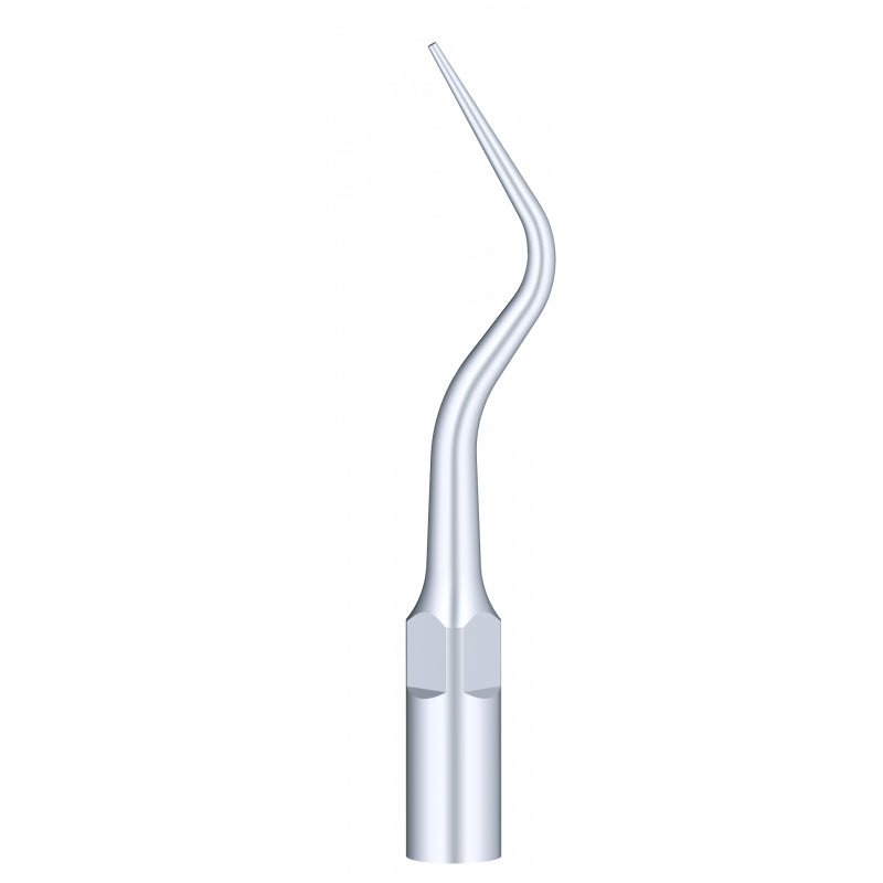 DTE - INSERT PD11